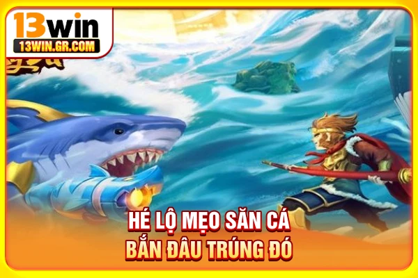 Hé lộ mẹo săn cá bắn đâu trúng đó