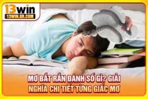 Mơ bắt rắn