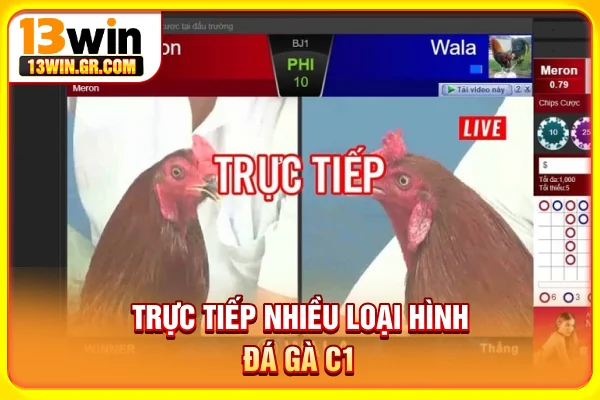Trực tiếp nhiều loại hình đá gà C1